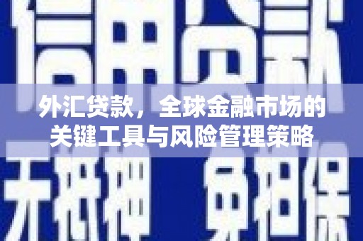 武侯外汇贷款，全球金融市场的关键工具与风险管理策略