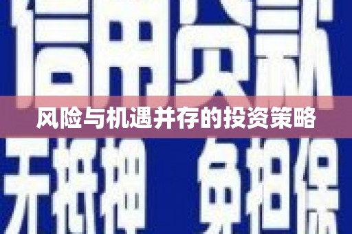 武侯风险与机遇并存的投资策略