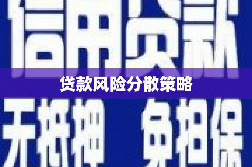 武侯贷款风险分散策略