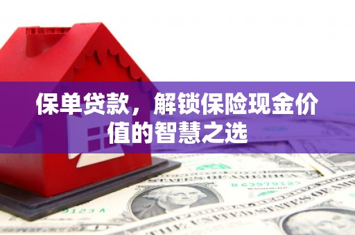 武侯保单贷款，解锁保险现金价值的智慧之选