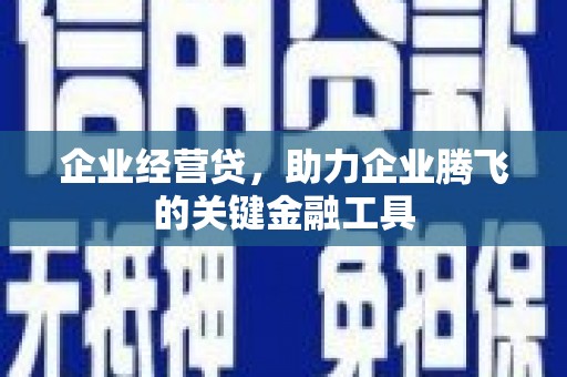 武侯企业经营贷，助力企业腾飞的关键金融工具