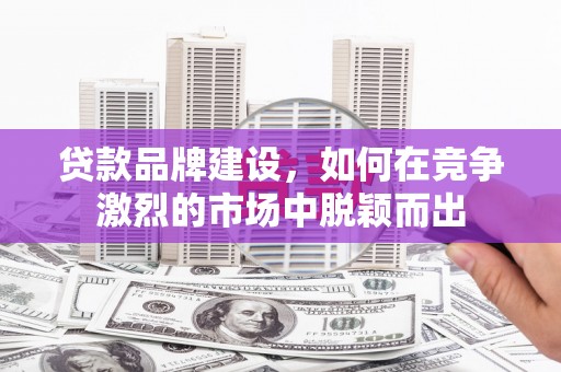 武侯贷款品牌建设，如何在竞争激烈的市场中脱颖而出
