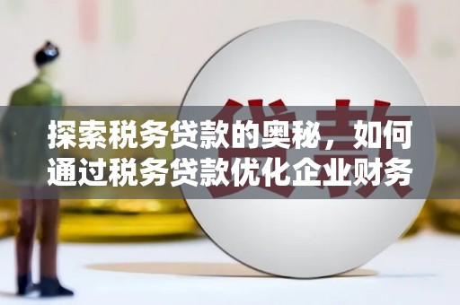 武侯探索税务贷款的奥秘，如何通过税务贷款优化企业财务