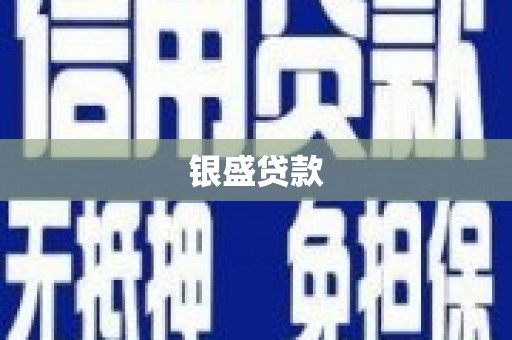 武侯银盛贷款