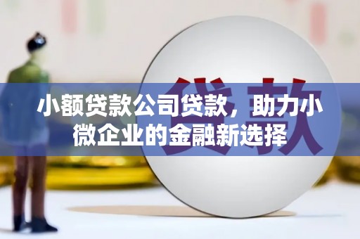 武侯小额贷款公司贷款，助力小微企业的金融新选择