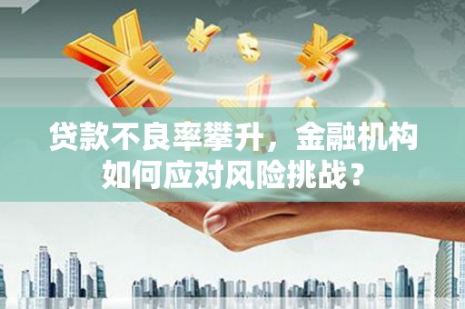 武侯贷款不良率攀升，金融机构如何应对风险挑战？