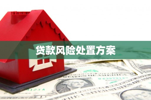 武侯贷款风险处置方案