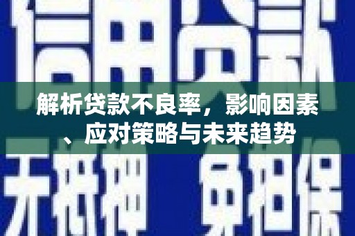 武侯解析贷款不良率，影响因素、应对策略与未来趋势