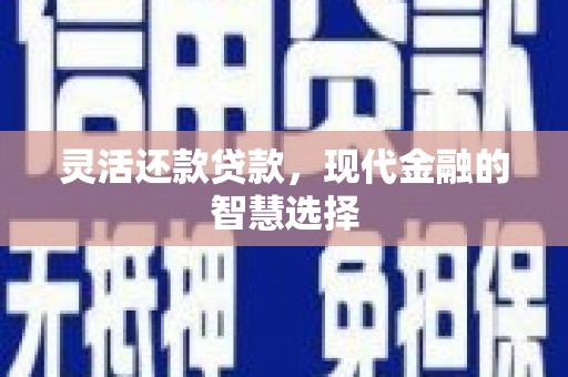 武侯灵活还款贷款，现代金融的智慧选择