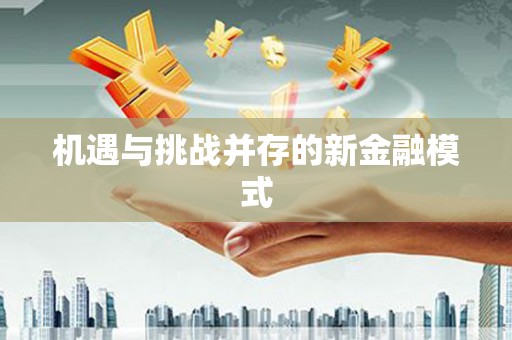 武侯机遇与挑战并存的新金融模式
