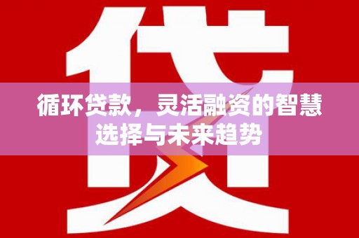 武侯循环贷款，灵活融资的智慧选择与未来趋势