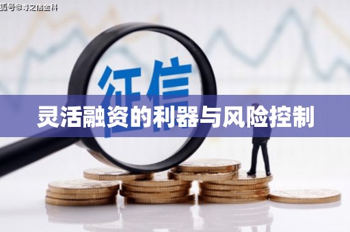 武侯灵活融资的利器与风险控制