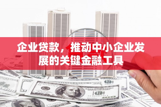 武侯企业贷款，推动中小企业发展的关键金融工具