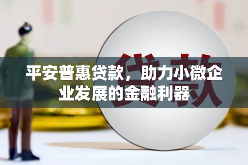 武侯平安普惠贷款，助力小微企业发展的金融利器