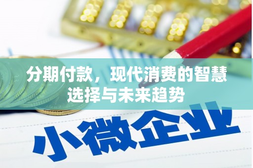 武侯分期付款，现代消费的智慧选择与未来趋势