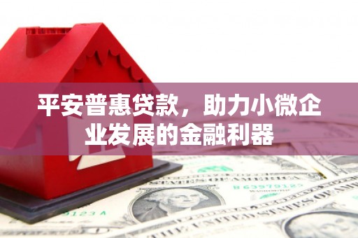 武侯平安普惠贷款，助力小微企业发展的金融利器