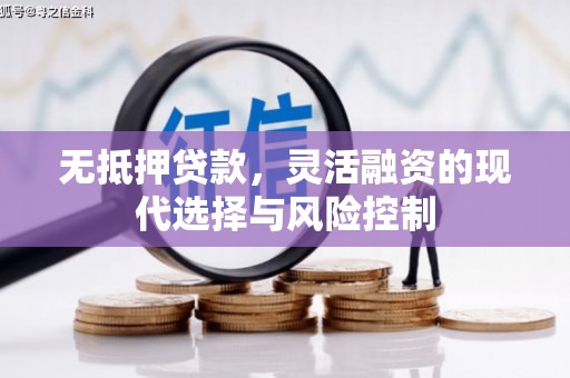 武侯无抵押贷款，灵活融资的现代选择与风险控制