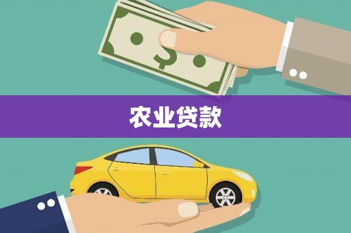 武侯农业贷款