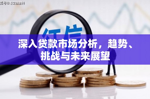 武侯深入贷款市场分析，趋势、挑战与未来展望