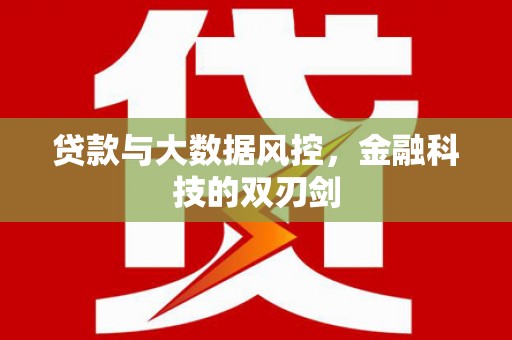 武侯贷款与大数据风控，金融科技的双刃剑