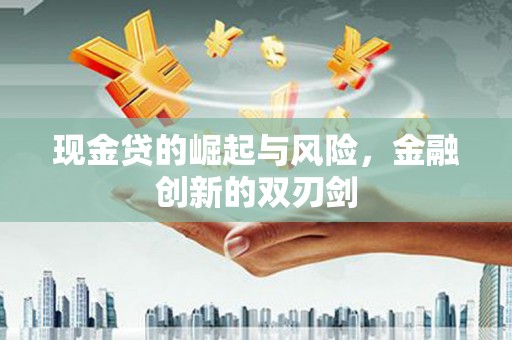 武侯现金贷的崛起与风险，金融创新的双刃剑