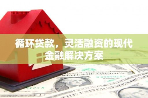 武侯循环贷款，灵活融资的现代金融解决方案