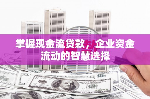 武侯掌握现金流贷款，企业资金流动的智慧选择