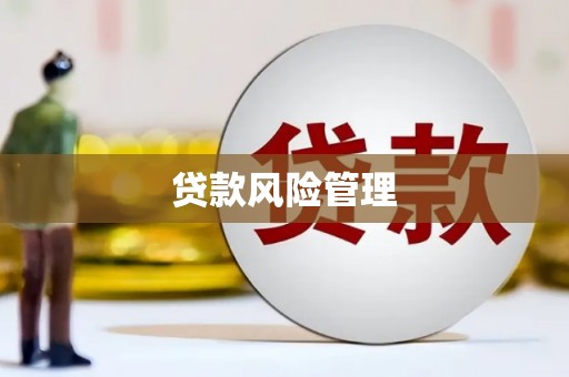 武侯贷款风险管理