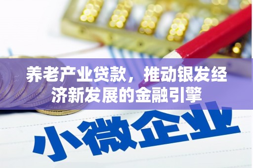 武侯养老产业贷款，推动银发经济新发展的金融引擎