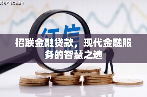武侯招联金融贷款，现代金融服务的智慧之选