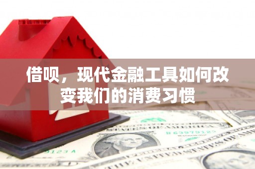 武侯借呗，现代金融工具如何改变我们的消费习惯