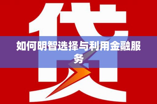 武侯如何明智选择与利用金融服务