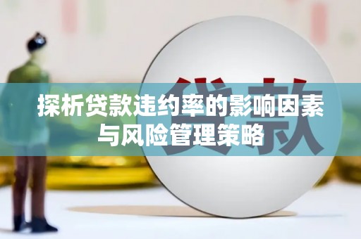 武侯探析贷款违约率的影响因素与风险管理策略