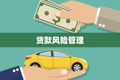 武侯贷款风险管理