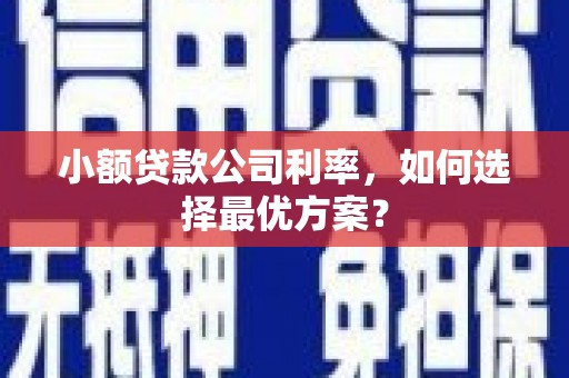 武侯小额贷款公司利率，如何选择最优方案？