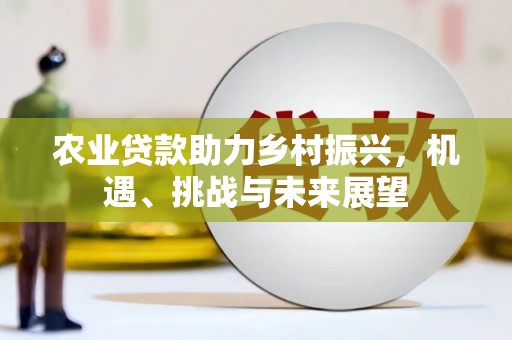 武侯农业贷款助力乡村振兴，机遇、挑战与未来展望