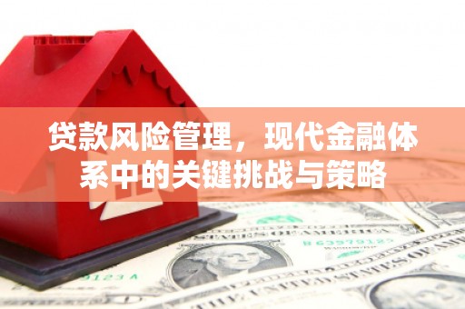 武侯贷款风险管理，现代金融体系中的关键挑战与策略