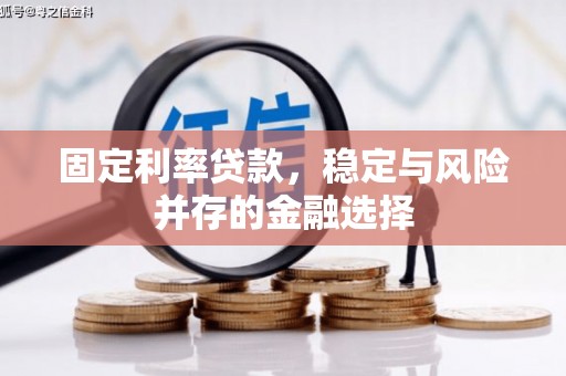 武侯固定利率贷款，稳定与风险并存的金融选择