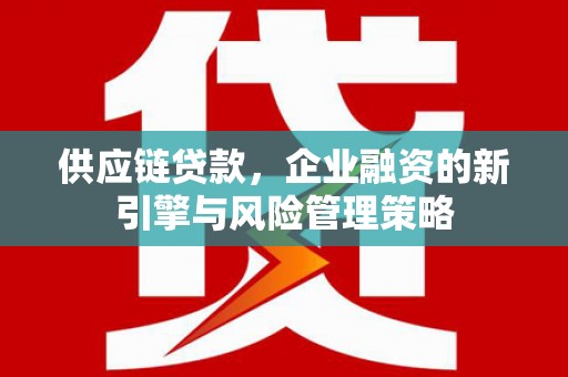 武侯供应链贷款，企业融资的新引擎与风险管理策略
