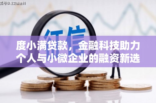 武侯度小满贷款，金融科技助力个人与小微企业的融资新选择