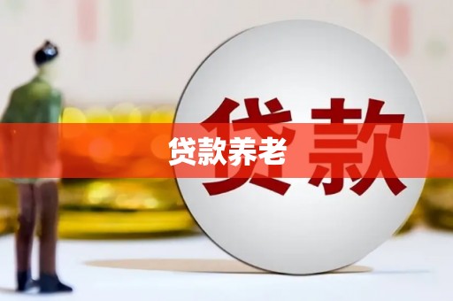 武侯贷款养老