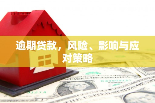 武侯逾期贷款，风险、影响与应对策略
