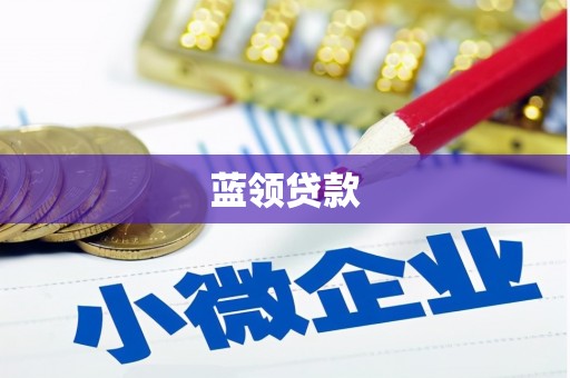 武侯蓝领贷款