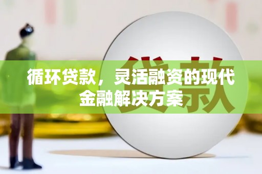 武侯循环贷款，灵活融资的现代金融解决方案
