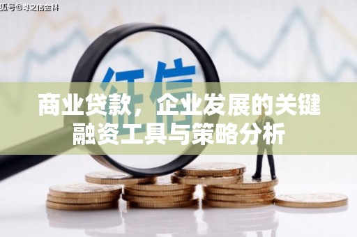 武侯商业贷款，企业发展的关键融资工具与策略分析