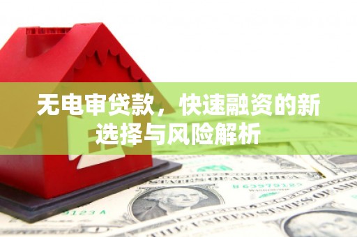武侯无电审贷款，快速融资的新选择与风险解析