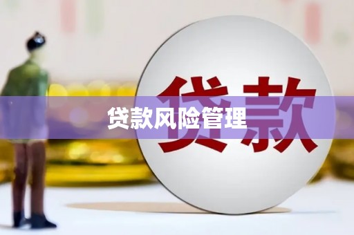 武侯贷款风险管理