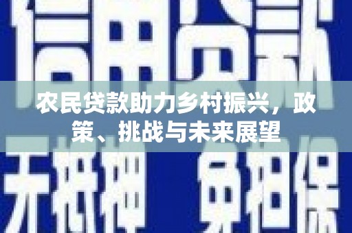 武侯农民贷款助力乡村振兴，政策、挑战与未来展望