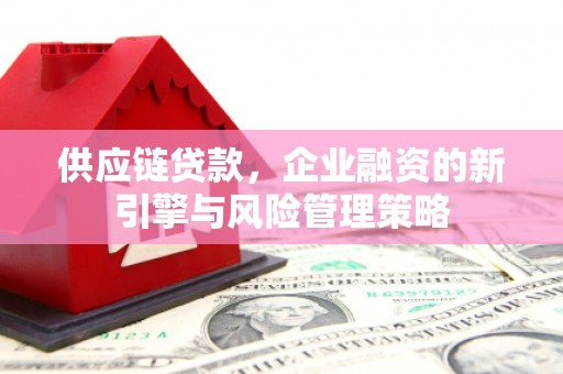 武侯供应链贷款，企业融资的新引擎与风险管理策略
