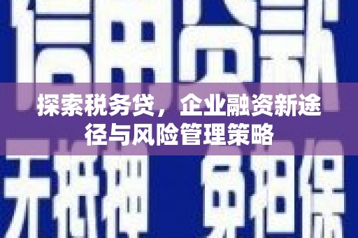 武侯探索税务贷，企业融资新途径与风险管理策略